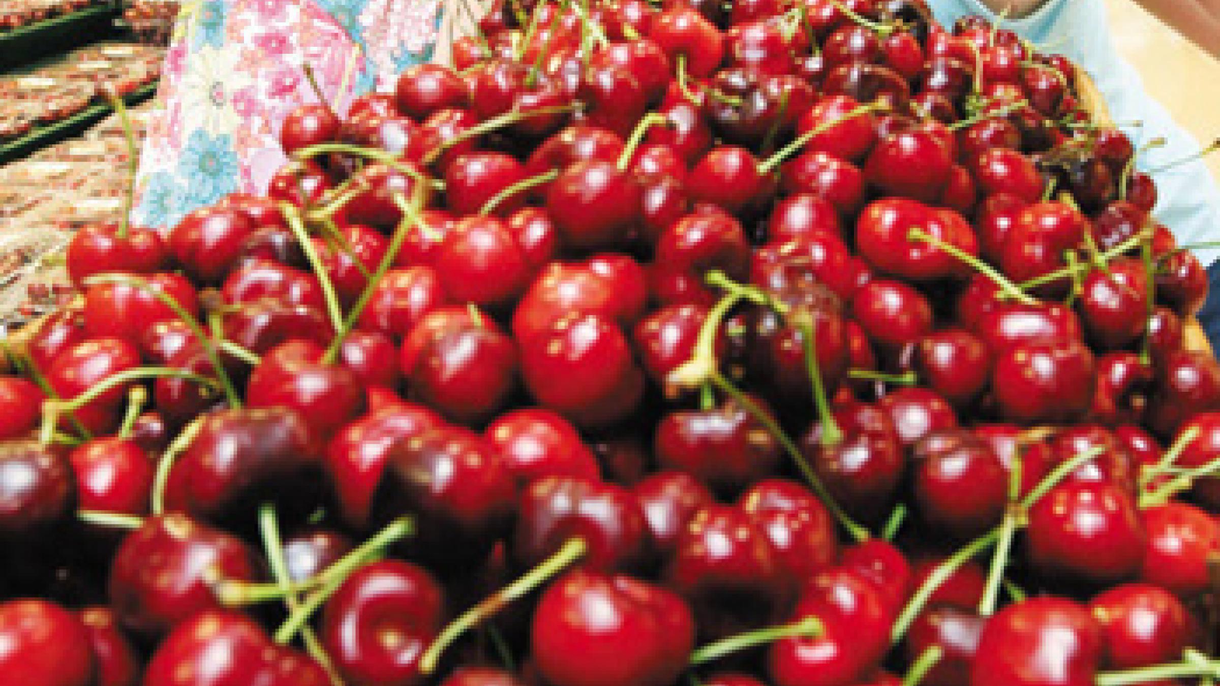 U.S. Cherries on Top in South Korean Market U.S. Cherries on Top in South Korean Market