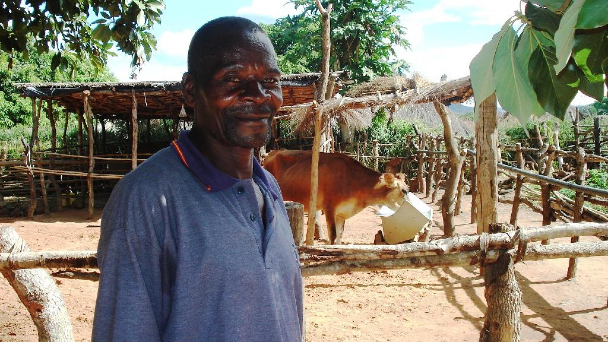 USDA-Land O’Lakes Partnership Helps Rebuild Dairy Herds, Raise Farmers’ Incomes in Mozambique USDA-Land O’Lakes Partnership Helps Rebuild Dairy Herds, Raise Farmers’ Incomes in Mozambique