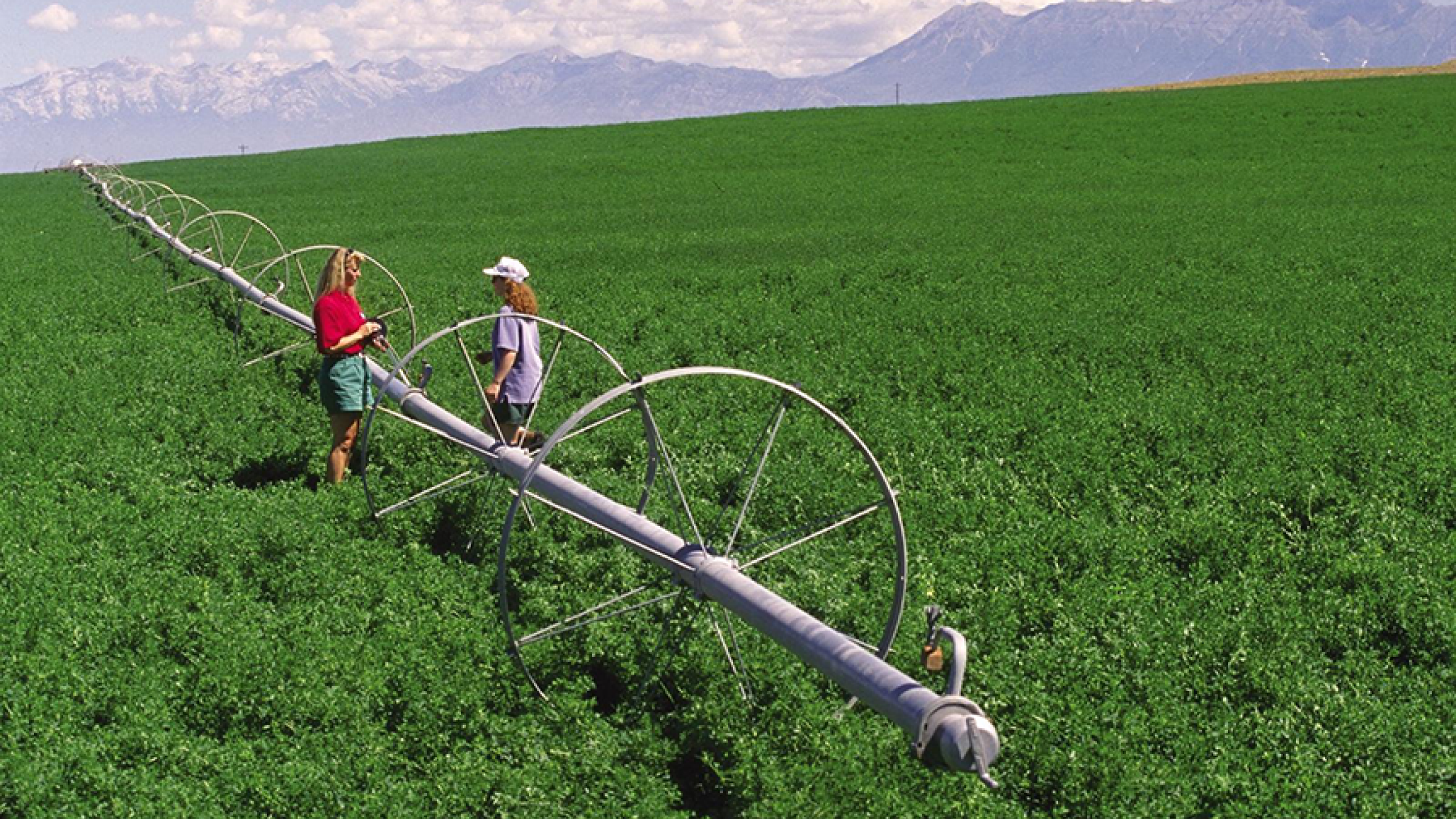 China’s dairy industry has seen the benefits of U.S.-grown alfalfa hay thanks to the Cochran Fellowship Program.