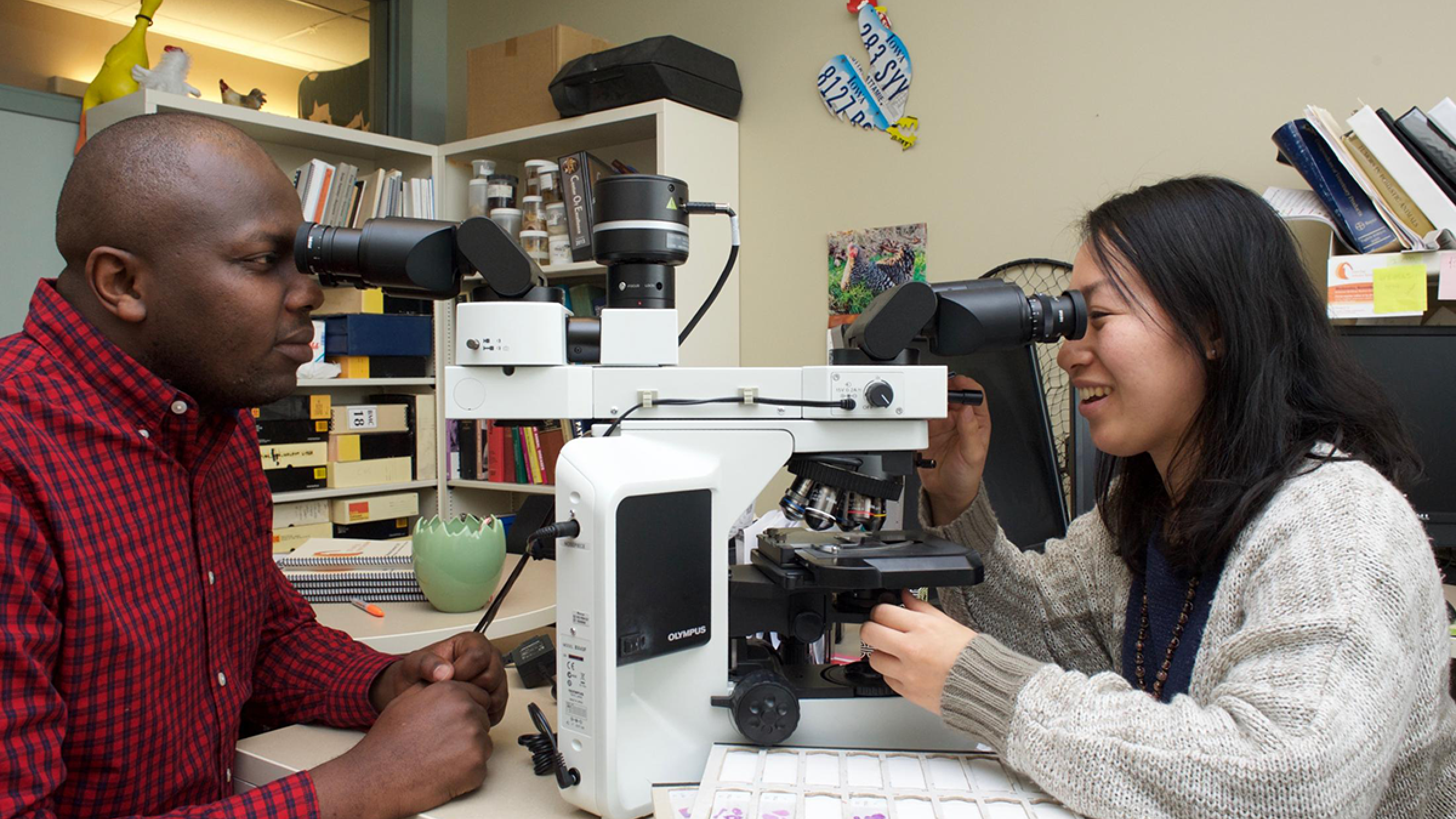 Kenyan veterinarian Jesse Thuo in the lab at Iowa State University with his U.S. mentor Dr. Yuko Sato. Thuo is one of 14 African veterinary professors studying in the United States this fall through the FAS Faculty Exchange Program.