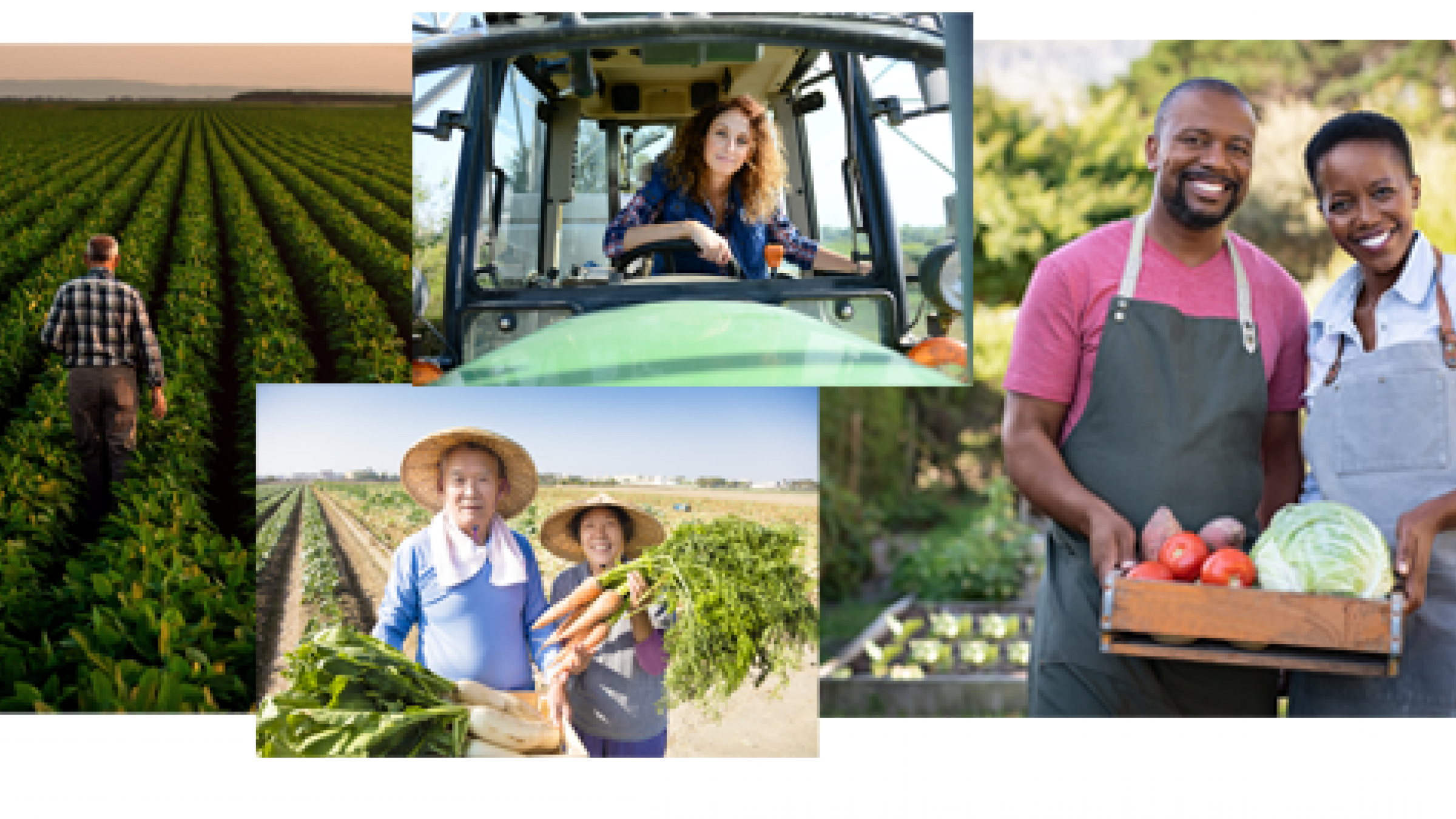 Food Systems Summit