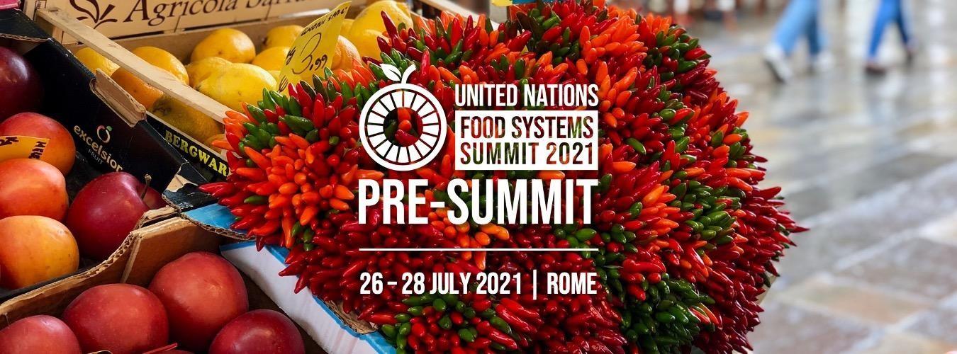 Deputy Secretary Bronaugh is leading the U.S. delegation to the UN Food System Pre-Summit in July 2021 to Rome.
