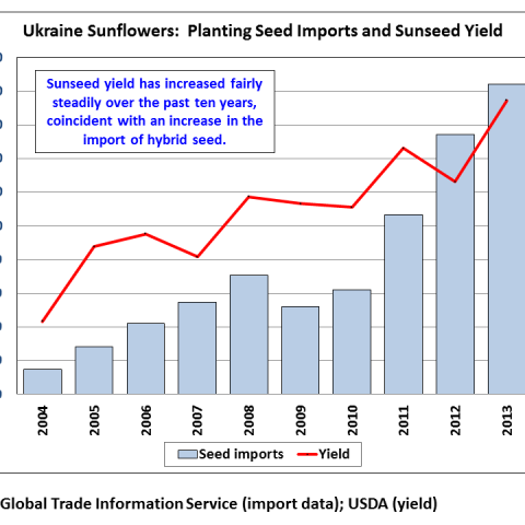 Bar chart showing that the use of hybrid planting seed for sunflowers and corn – which has driven a significant increase in yield for both crops – is not expected to decrease significantly from last year Bar chart showing that the use of hybrid planting seed for sunflowers and corn – which has driven a significant increase in yield for both crops – is not expected to decrease significantly from last year