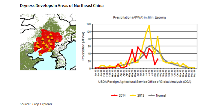 A map of Northeast China along side a line graph demonstrating that 2014’s precipitation in Northeast China is below the average. A map of Northeast China along side a line graph demonstrating that 2014’s precipitation in Northeast China is below the average.
