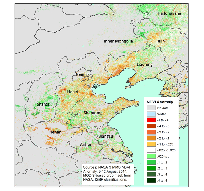 This image shows the impact of this summer’s below-normal rainfall on crop conditions in northern China (green=better than average, brown = worse than average). This image shows the impact of this summer’s below-normal rainfall on crop conditions in northern China (green=better than average, brown = worse than average).