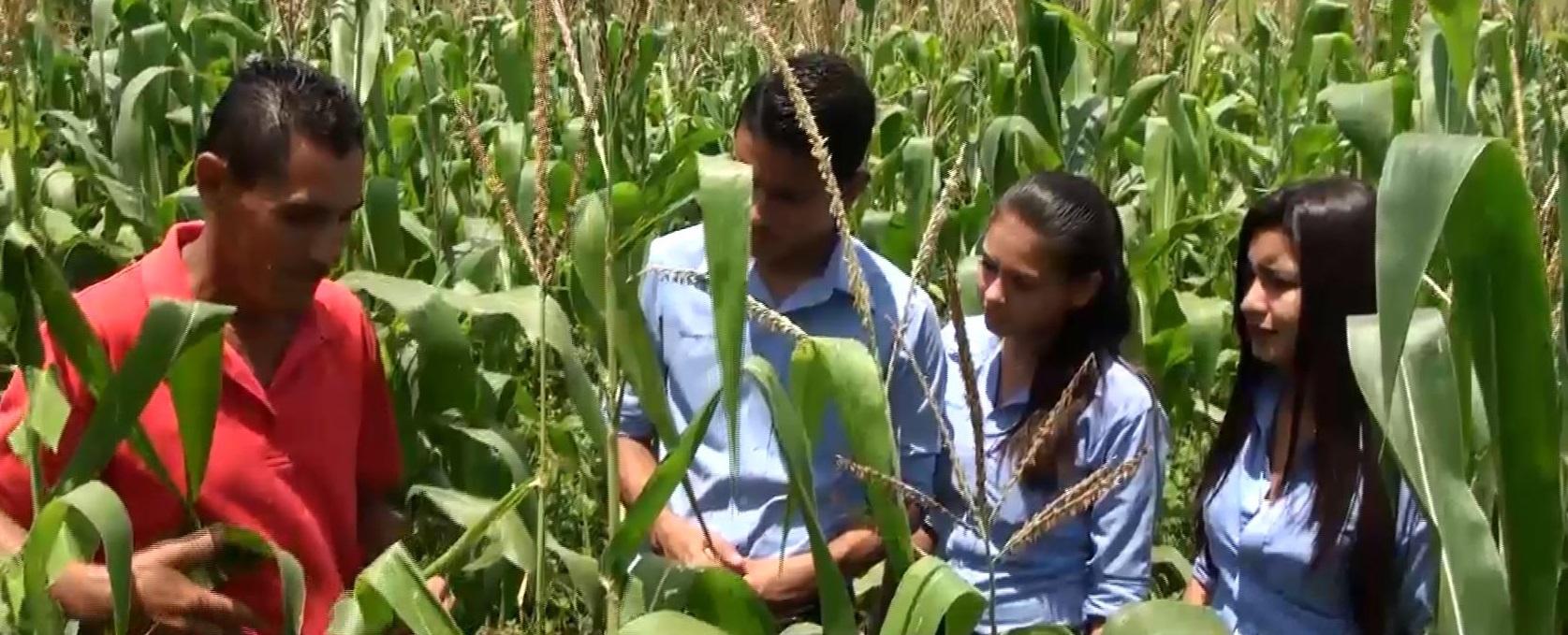 Agricultural training for young people in Honduras is an important part of the country’s Food for Progress partnership with USDA. Agricultural training for young people in Honduras is an important part of the country’s Food for Progress partnership with USDA.