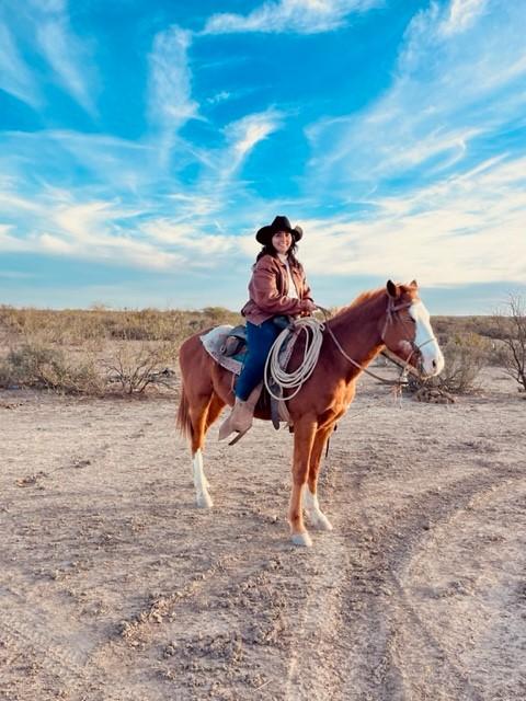 A woman sits on the back of a horse.